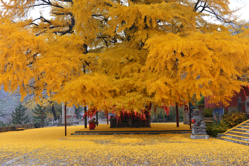 城顶山生态旅游区